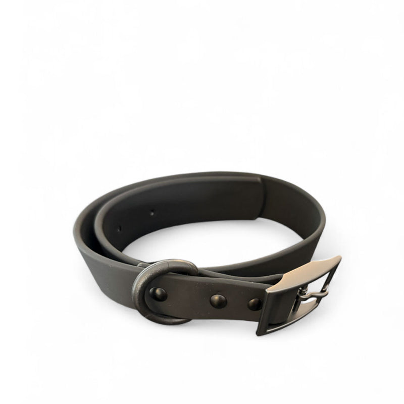 KRAGA Hundehalsband mit Dornschnalle