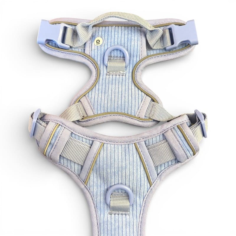 STYRA – Hundegeschirr | Skylight