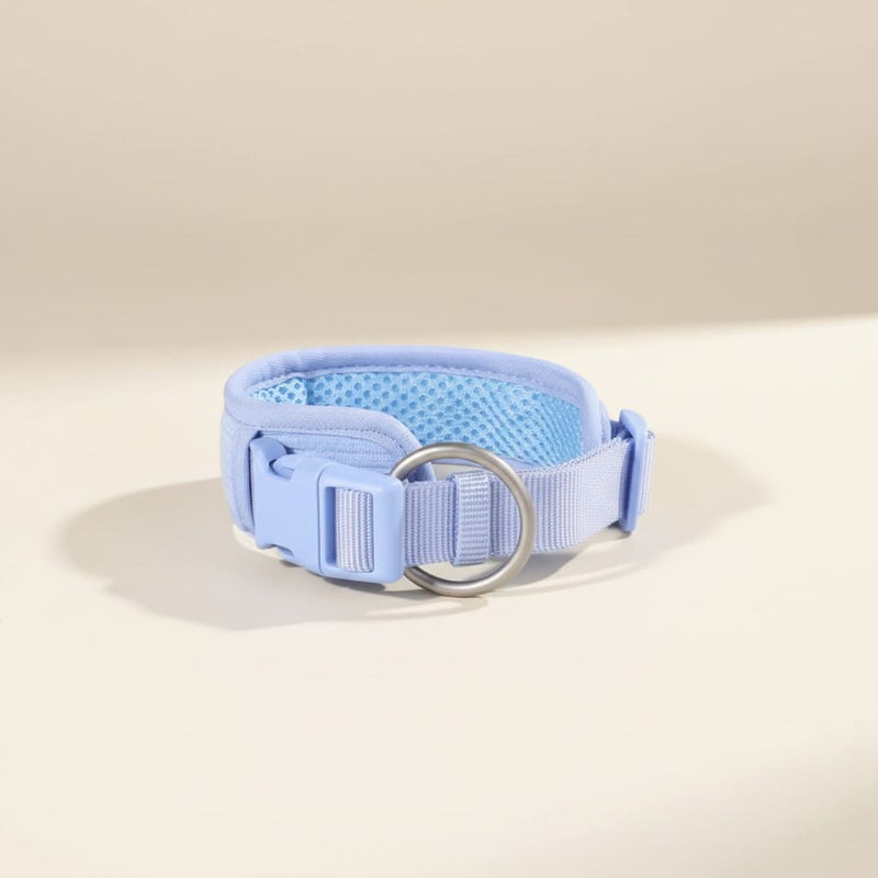 TOVA Dog Collar Skylight